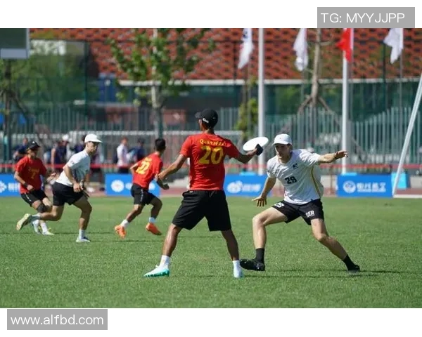 成都飞盘队的节奏与战术分析探索飞盘运动的魅力与团队协作之道