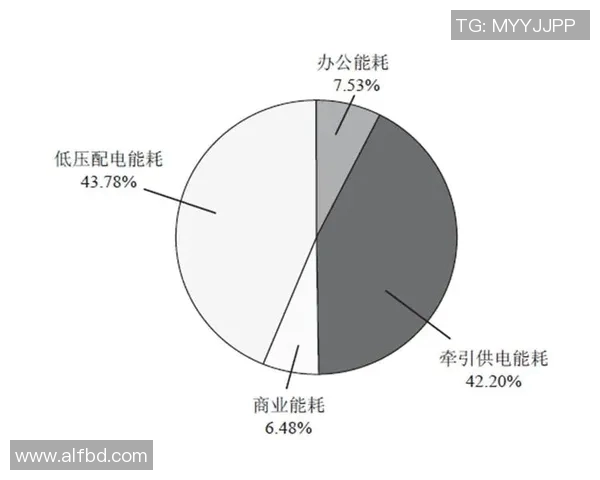 武汉篮球队包夹战术的成效与不足分析探讨