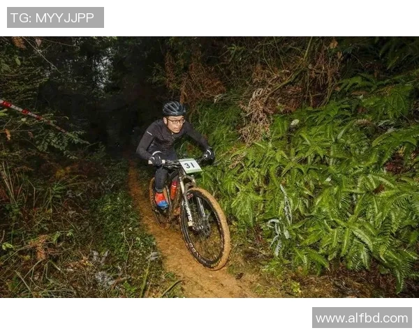 深圳极限运动队战术革新引发热议推动运动发展新潮流