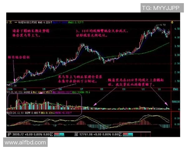 新疆广汇与广东的对决分析及战术解析展望未来比赛走势