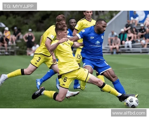 纽喷飞机与惠灵顿凤凰的精彩对决分析与赛季展望 纽喷飞机与惠灵顿凤凰的精彩对决分析与赛季展望