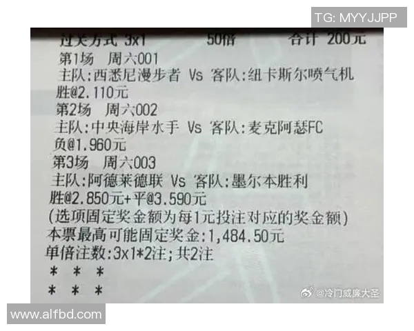 西悉尼与纽卡的精彩对决比分揭晓赛季最新战绩分析